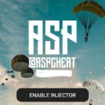 ASP Cheat Injector PUBG